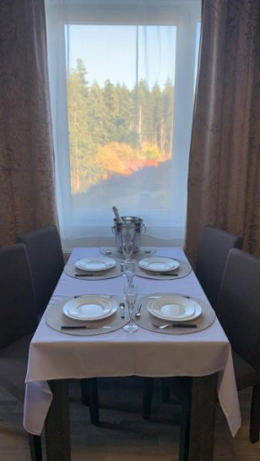 ComfortApartment IGLIKA 2 Borovetz